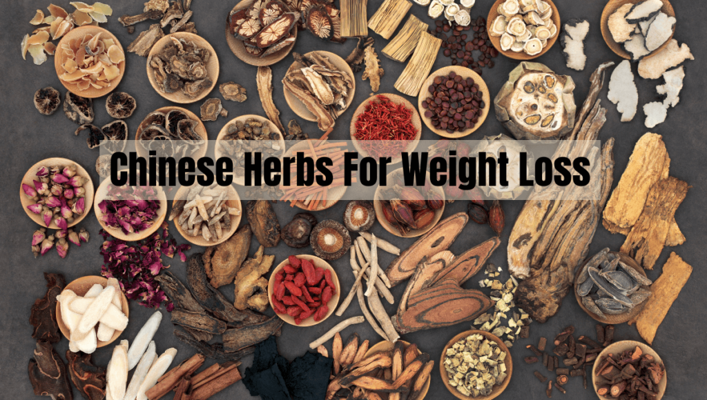 Chinese Herbs For Weight Loss